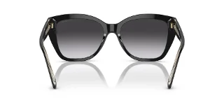 Emporio Armani Sunglasses EA4198