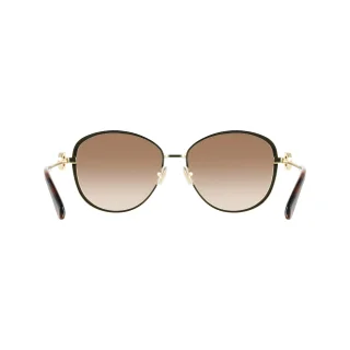 Salvatore Ferragamo Sunglasses SF333SR
