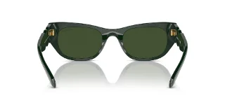 Swarovski Sunglasses SK6022F