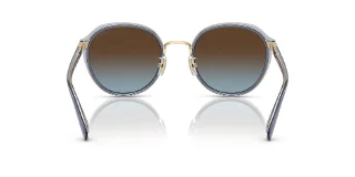 Coach Sunglasses HC7154