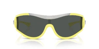 Versace Sunglasses VE4475