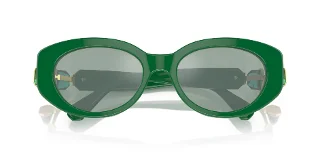 Swarovski Sunglasses SK6002F