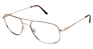 532 Tortoise