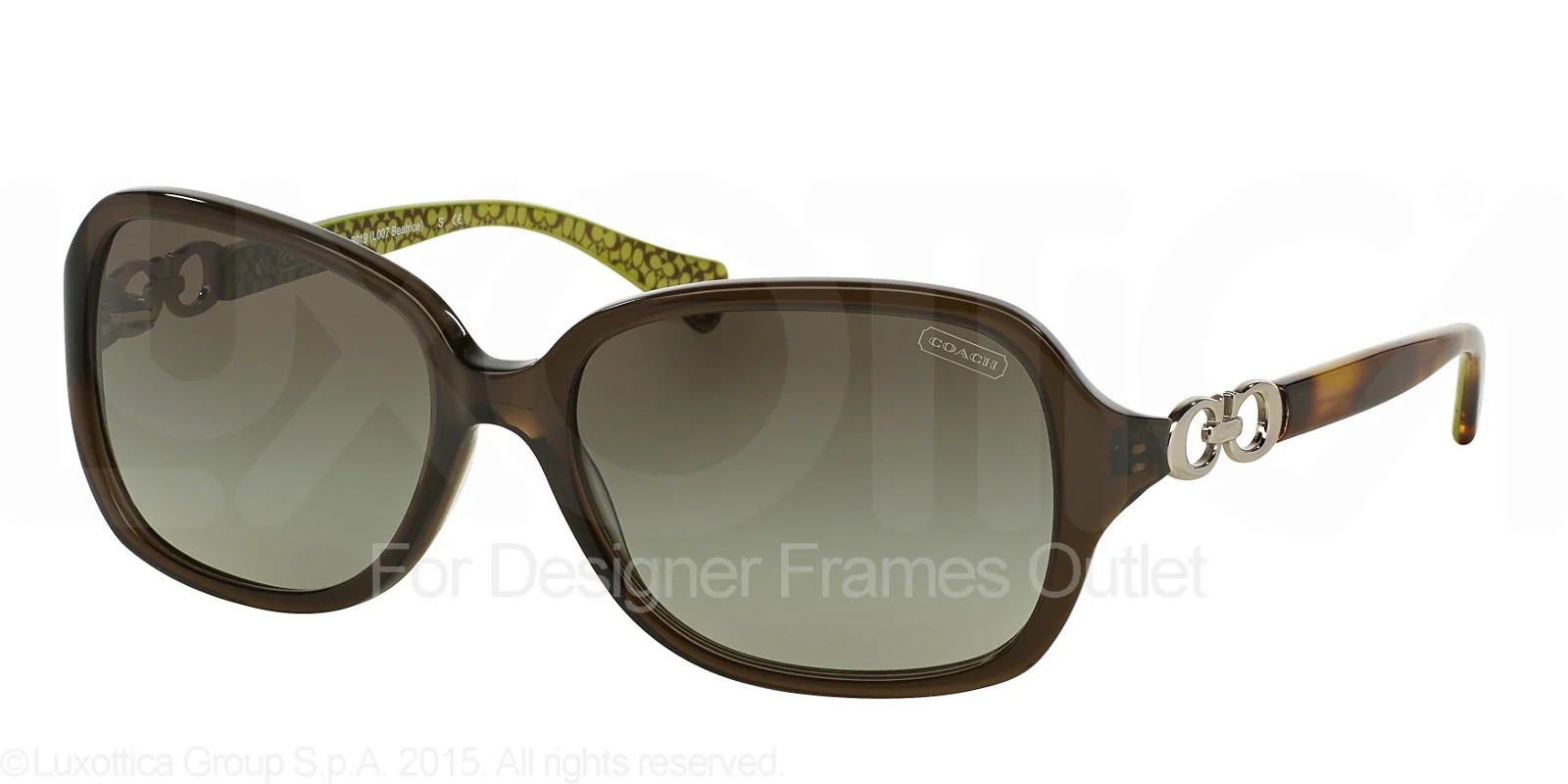 Coach Sunglasses HC8019