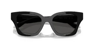 Coach Sunglasses HC8418U
