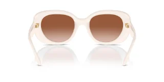 Coach Sunglasses HC8391U