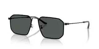 Emporio Armani Sunglasses EA2165D