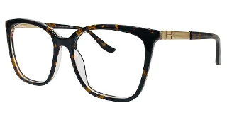 024 Tortoise