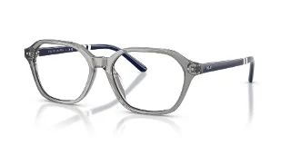 6318 Shiny Transparent Grey