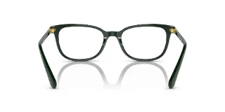 Swarovski Eyeglasses SK2003F