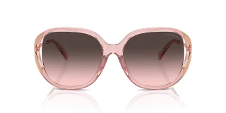 Coach Sunglasses HC8396U