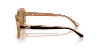 Coach Sunglasses HC8358F