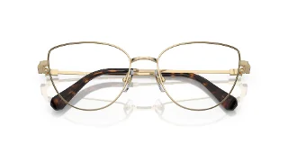 Swarovski Eyeglasses SK1007