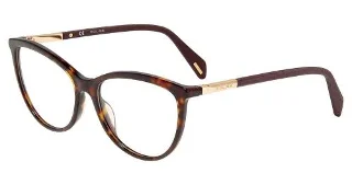 Tortoise (0722)