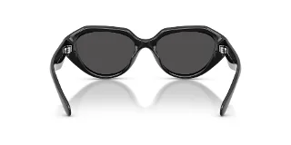 Coach Sunglasses HC8433U