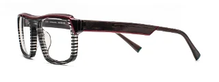 ZEN Eyeglasses Zn240907