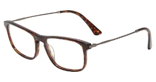Tortoise (0722)