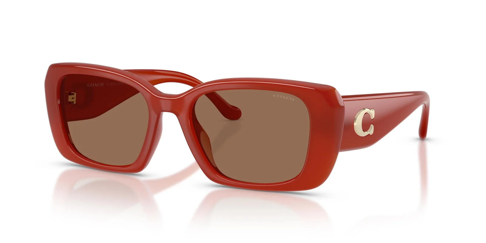 Coach Sunglasses HC8435U