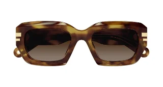 Chloe Sunglasses CH0256S