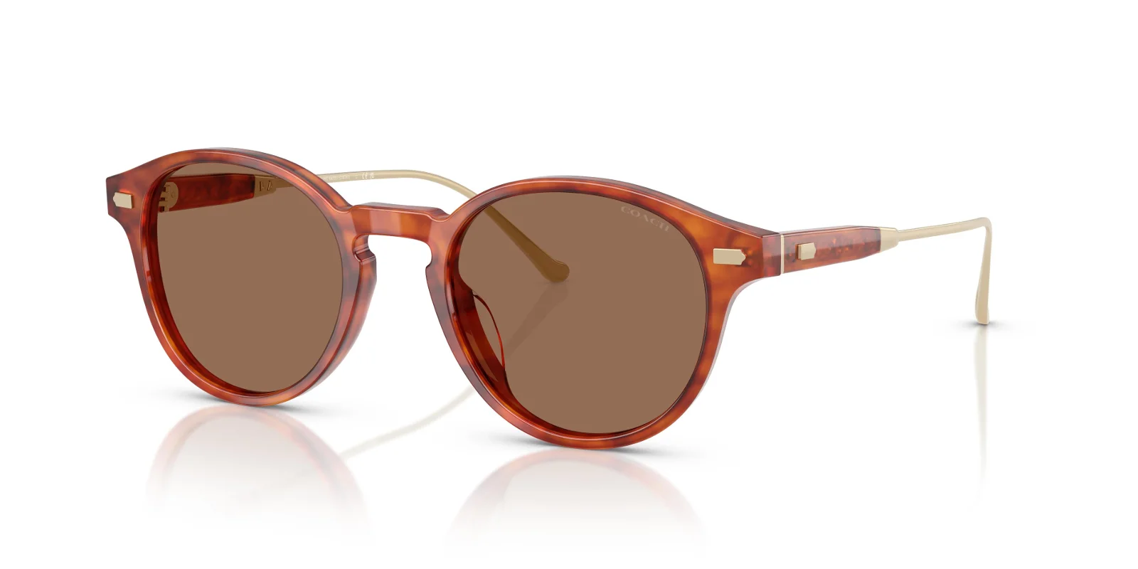 Coach Sunglasses HC8428U