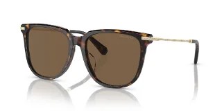 100273 Dark Havana