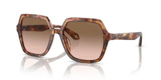 Giorgio Armani Sunglasses AR8193U