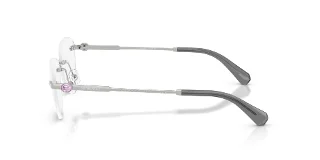 Swarovski Eyeglasses SK1035D