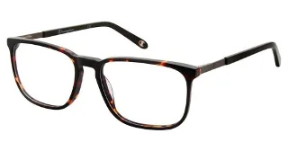 Champion Eyeglasses 2023