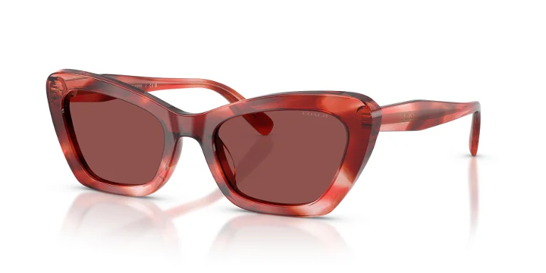 Coach Sunglasses HC8452U