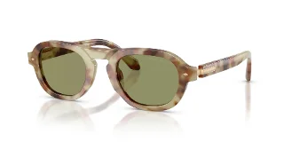 629914 Brown Mint Tortoise
