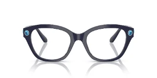 Swarovski Eyeglasses SK2038F