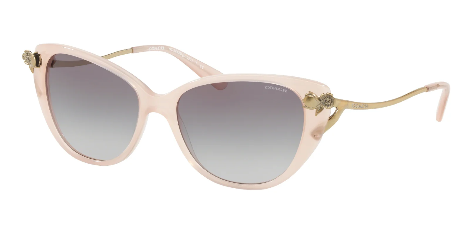 Coach Sunglasses HC8242B