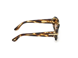 Tom Ford Icon Sunglasses FT1253