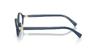 Miu Miu Eyeglasses MU01XV