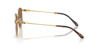 Swarovski Sunglasses SK7050D