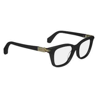 Salvatore Ferragamo Eyeglasses SF2973