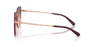 Coach Sunglasses HC7184D
