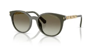 39023M Olive
