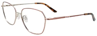 015 Bronze & Silver