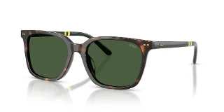 500371 Shiny Dark Havana