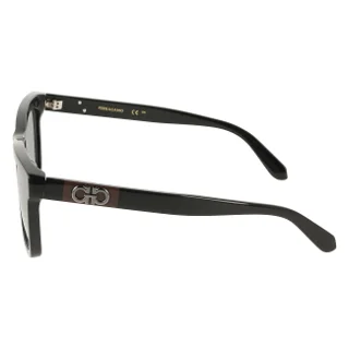 Salvatore Ferragamo Sunglasses SF2113S