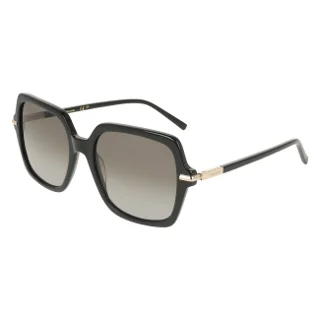 Salvatore Ferragamo Sunglasses SF2076S