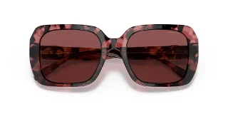 Coach Sunglasses HC8329U