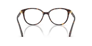 Swarovski Eyeglasses SK2070F