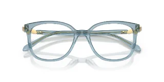 Swarovski Eyeglasses SK2069