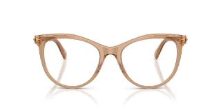 Swarovski Eyeglasses SK2064