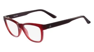 Calvin Klein Platinum Eyeglasses CK5908