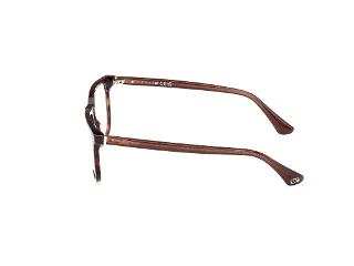 Web Eyeglasses WE5430