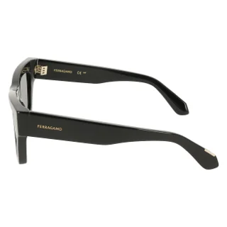 Salvatore Ferragamo Sunglasses SF2105S