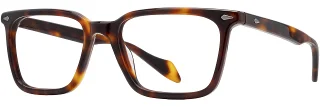 C02 Tortoise